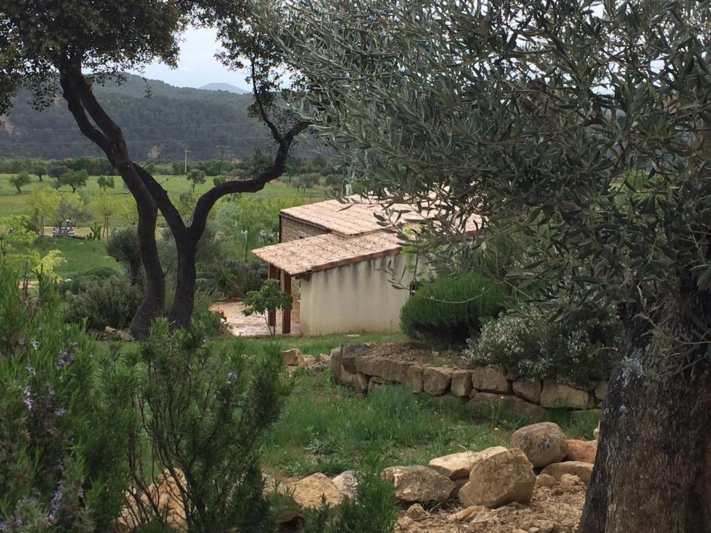 Santa Eulalia de Gállego Alen D'Aragonゲストハウス 部屋 写真