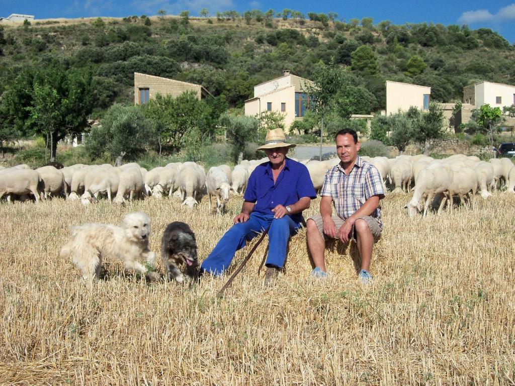Santa Eulalia de Gállego Alen D'Aragonゲストハウス エクステリア 写真